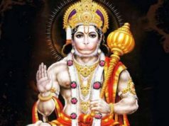 क्या हनुमान् जी बन्दर हैं ?